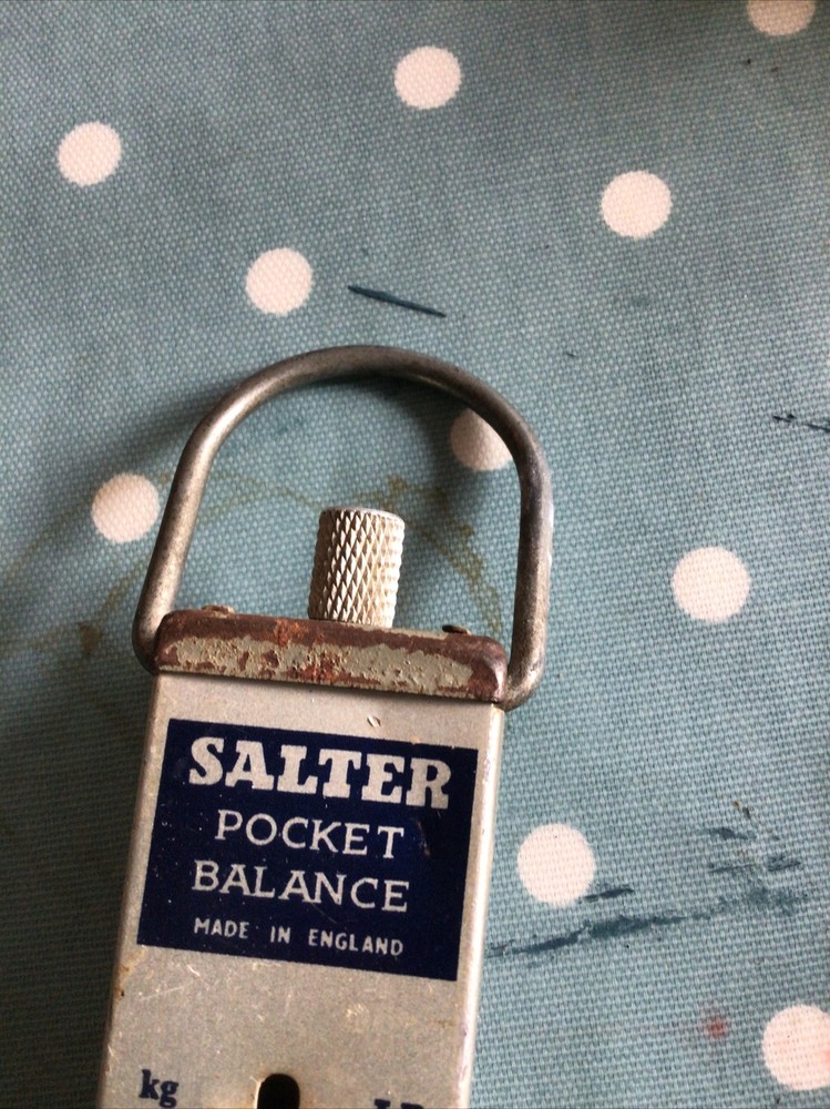 Salter Pocket Balance