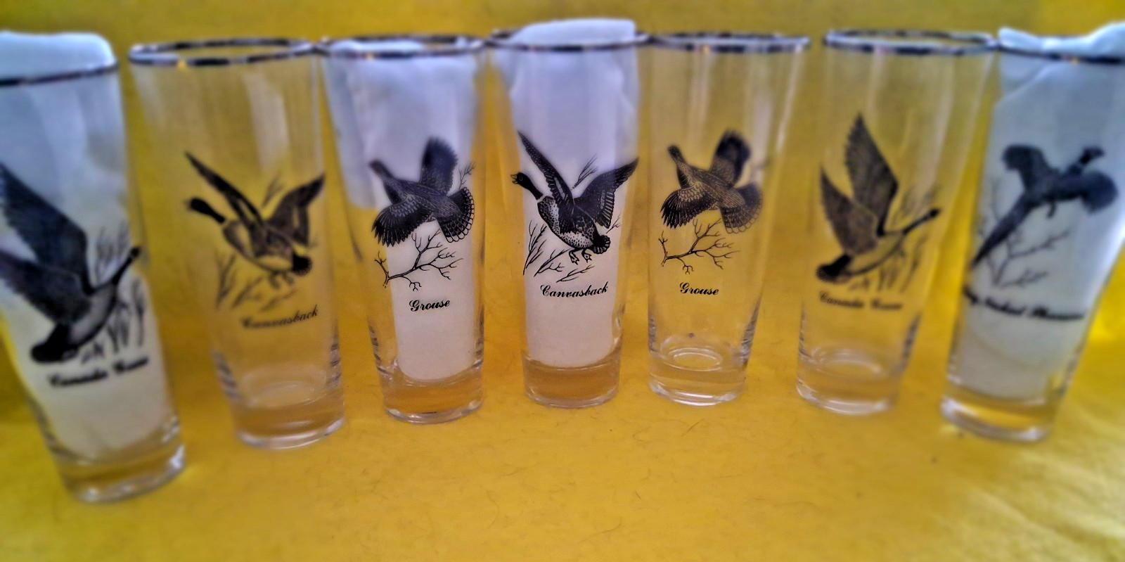 VINTAGE WATERFOWL GAME BIRDS SET OF 7 SILVER RIMMED BARWARE 7" GLASS TUMBLERS