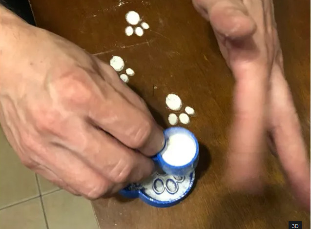 Easter Bunny Mystery Footprints