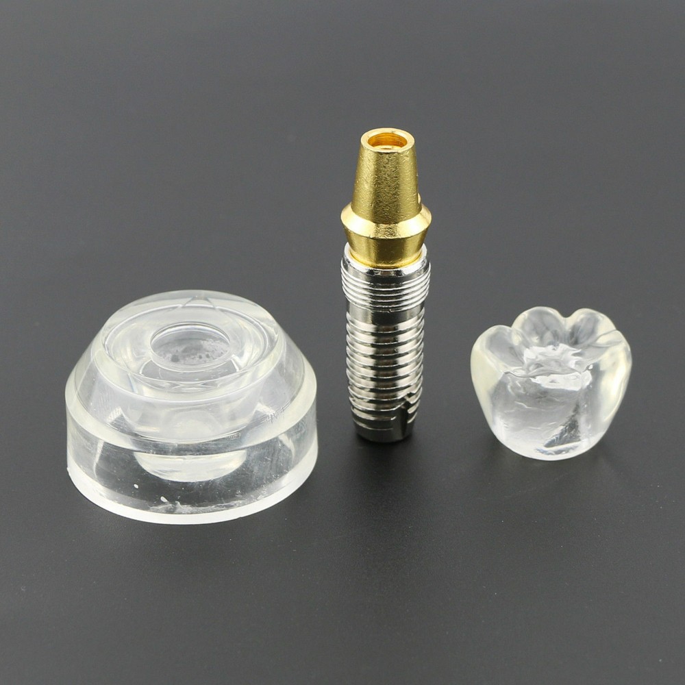 #2020 Dental Implant Model Demonstration Teeth Study Model Demonstrates Crown
