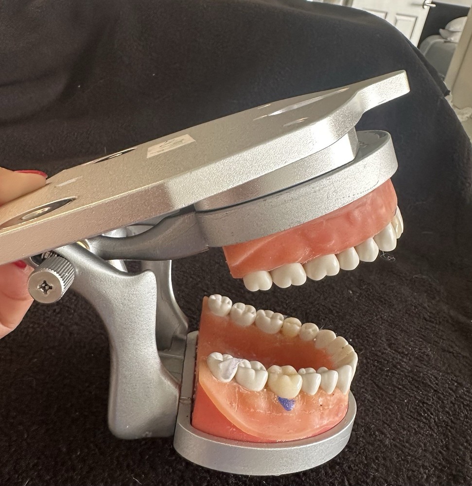 Dental Manikin Plate