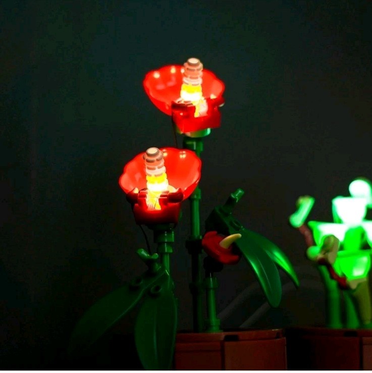 LED Light Kit for Lego 10329 Tiny Plants Botanicals Cactus Decor Lighting