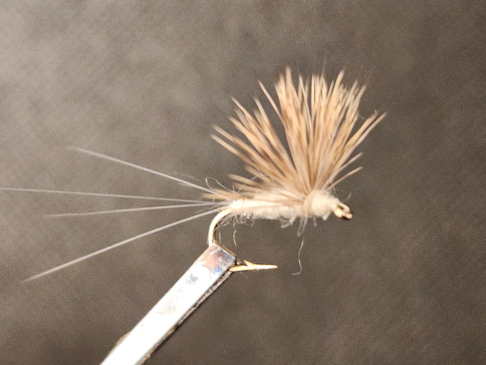 Cahill Comparadun Dry Fly, Comparadun, Cahill Compara Dun