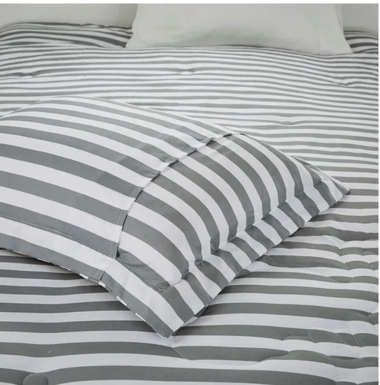3 Piece Reversible Dino Mi Zone Kidd Twin Comforter Set