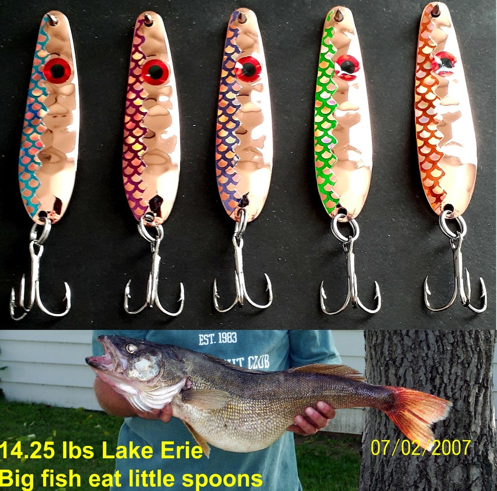 ( 5 )Thin HEX .016  2 1/4" Copper Flash Trolling Flutter Spoons  Walleye Candy
