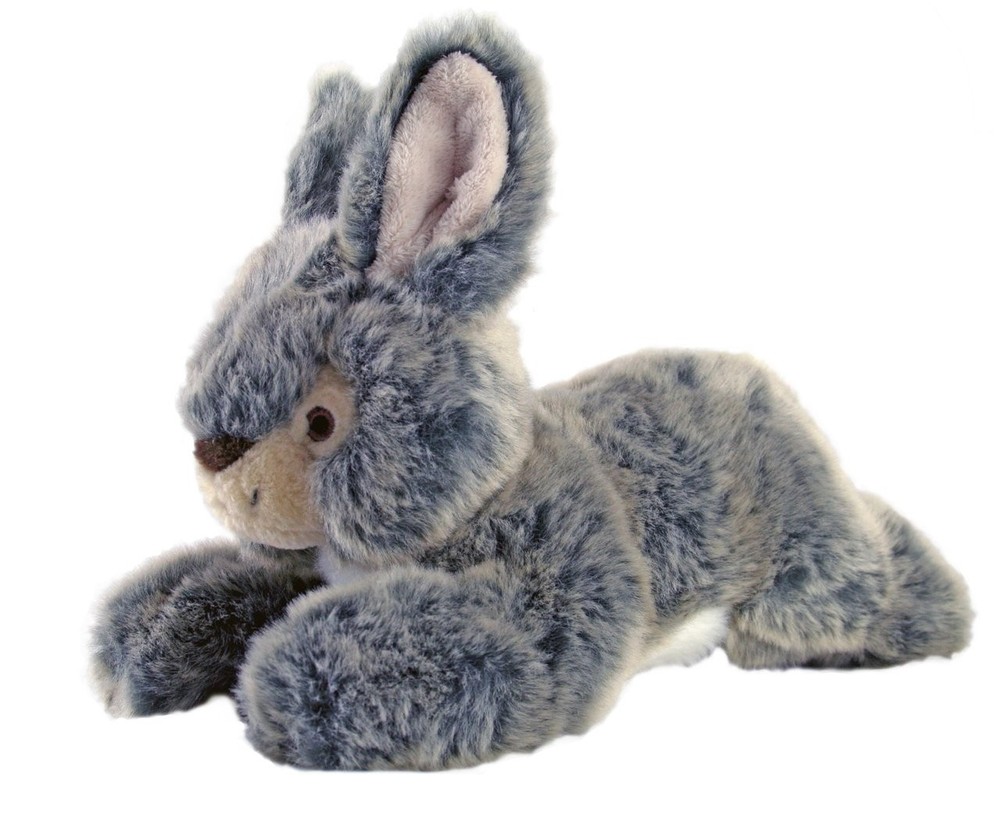 – Walter Wabbit Plush Dog