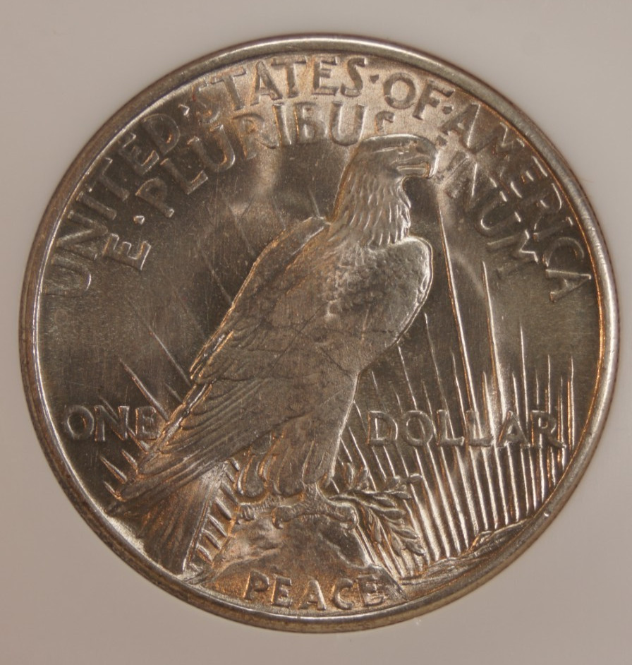 1921 Peace Silver Dollar - NGC MS62