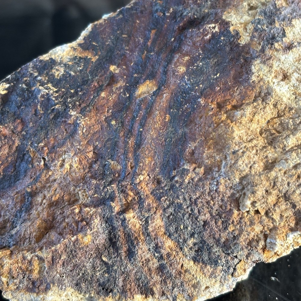 arizona gold ore 2.6lbs