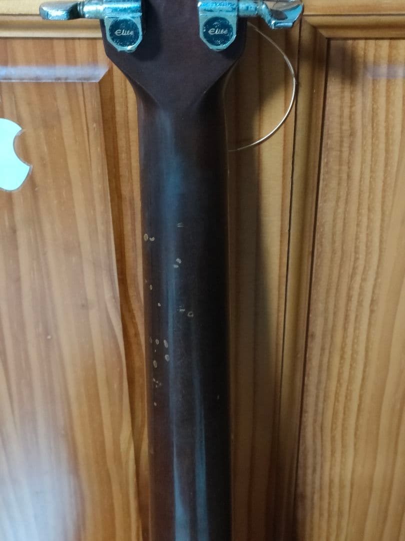 Takamine Elite TW-25 Vintage 1970s Acoustic Guitar Japan