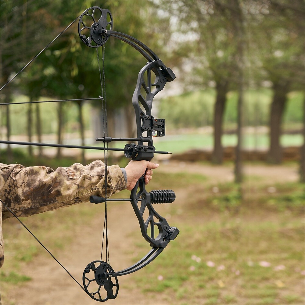 19-70lbs Adjustable Compound Bow Carbon Arrows Archery Shooting Hunting Target