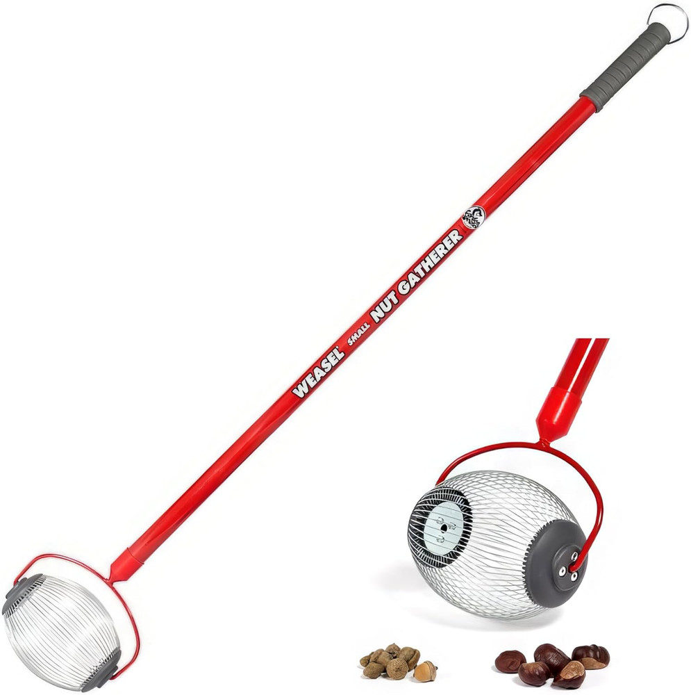 Nut Gatherer - Small Cage | Pick up Small Acorns, Buckeyes, Beech Nuts | Nut Col