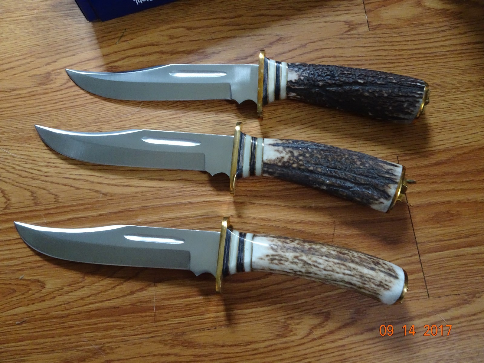 STEEL STAG 10 1/2' FIXED BLADE KNIFE ELK ANTLER HANDLE 440S.S. BLADE LEATHER SHE