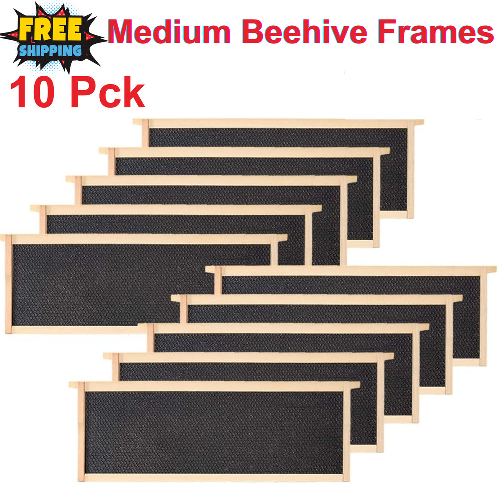 10 - Pack Medium Beehive Frames with Beeswax Foundations – Fits Langstroth Hive