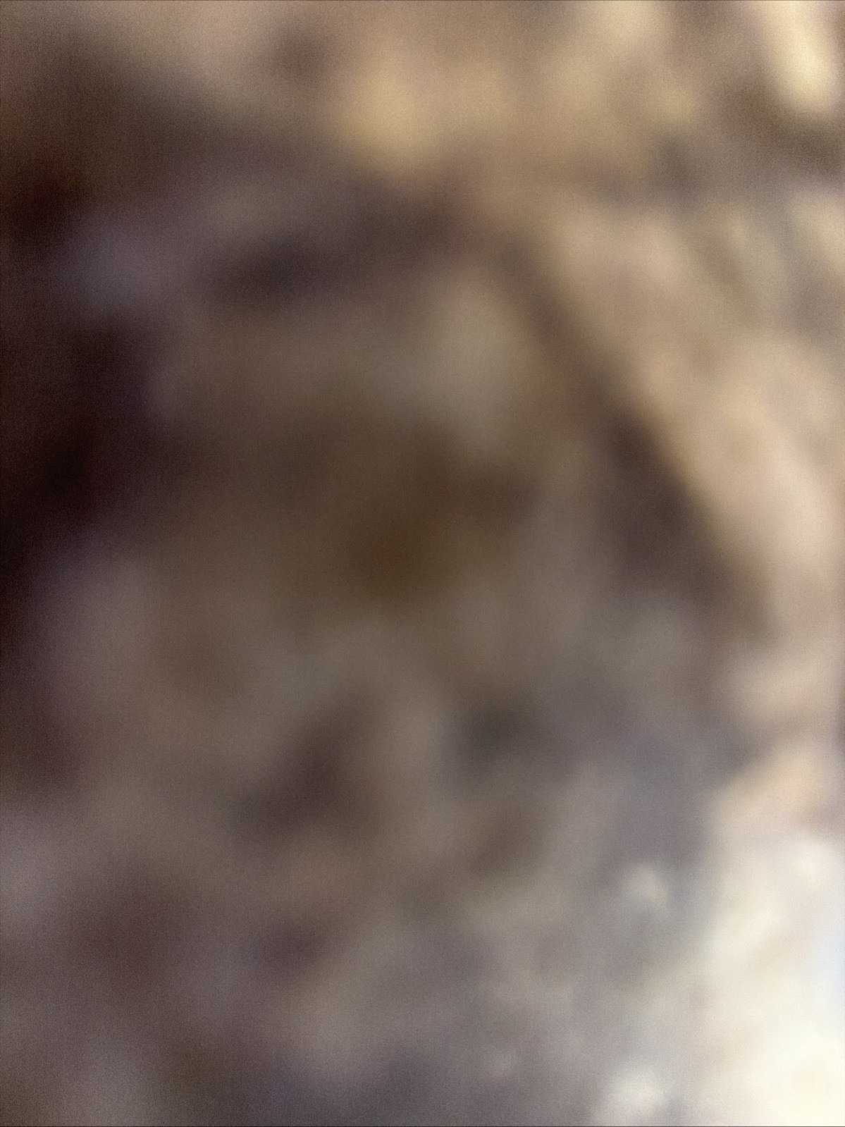 Anon Majestic Women's Ski Goggle White Hydro Multi Color DEAD STOCK NIB UglyBox