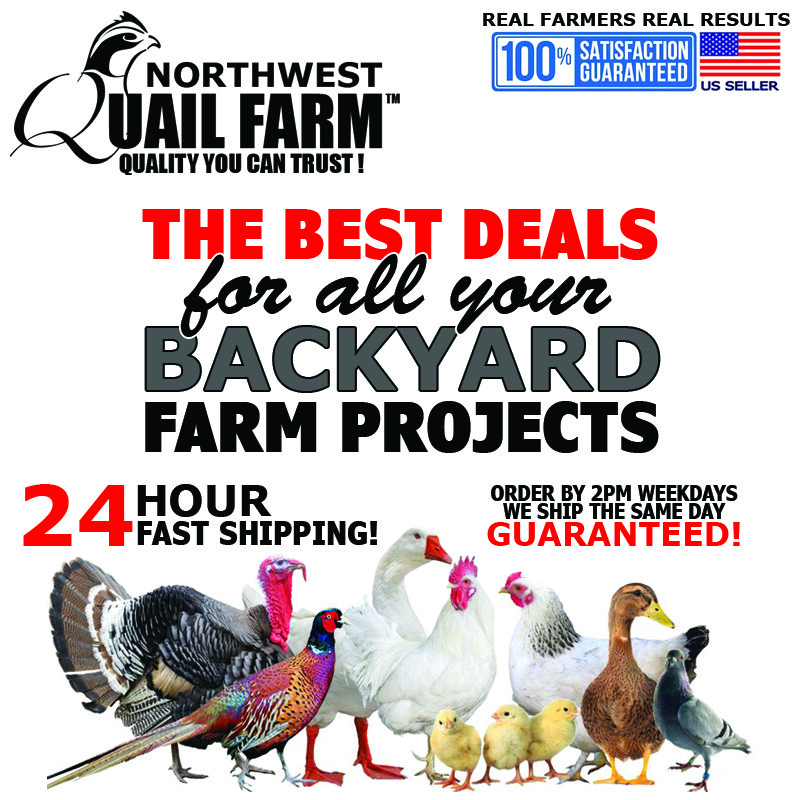 Rabbit Quails Door Trim Guards Indoor Outdoor Wire Cages 5/10/25/50 Feet Rolls