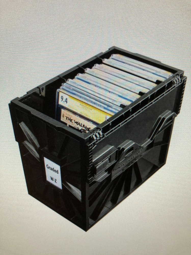 Graded Comic Book Bin Partitions