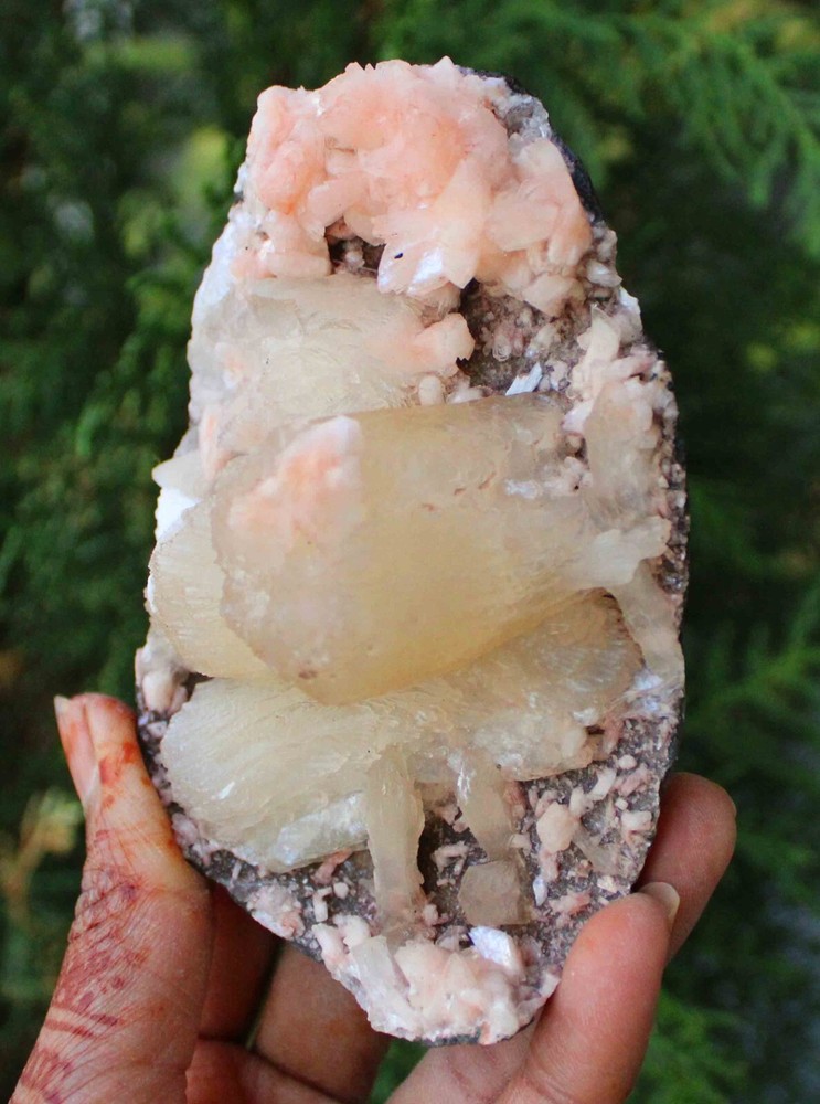 Stilbite w/ Heulandite On Matrix Minerals Specimen #M16