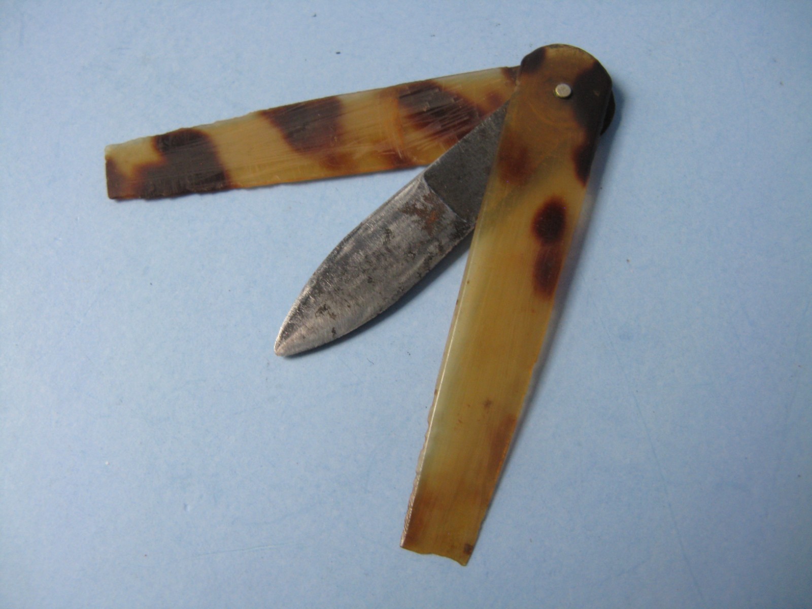 Faux Tortoiseshell Lancet, Bloodletting