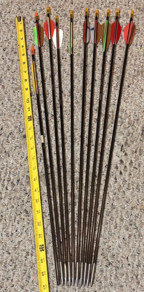 16- Cabelas SST 220 Misc Length Target Tips Nocks Good