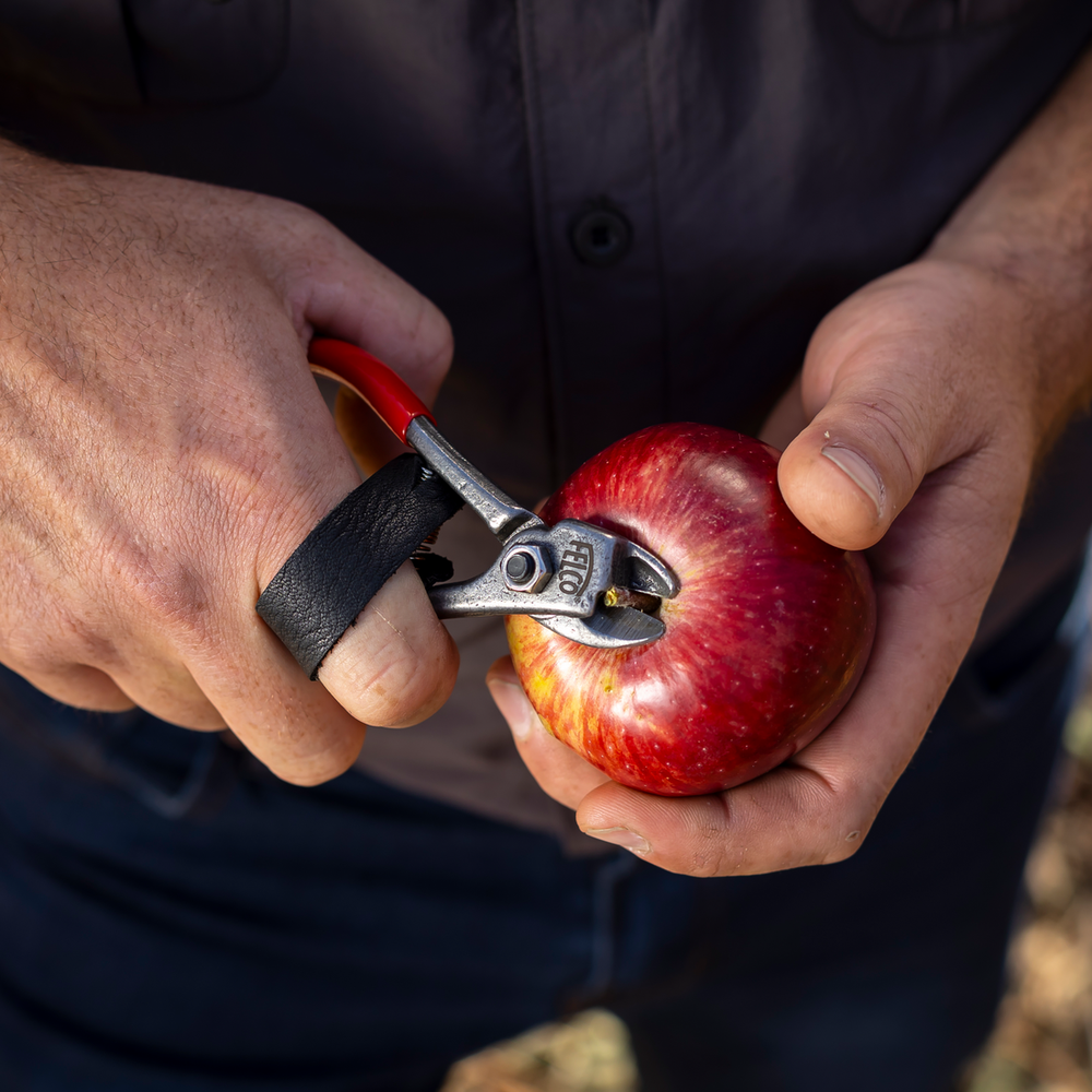 Felco 330 Fruit Harvesting Clipper