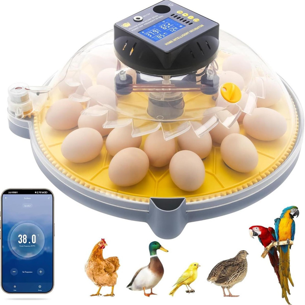 Smart 12‑Egg Incubator with Auto-Turn, Temp/Humidity Control & App/Bluetooth