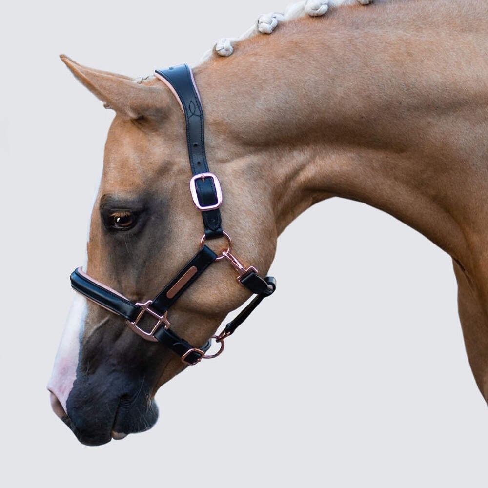 'Hollywood' leather halter