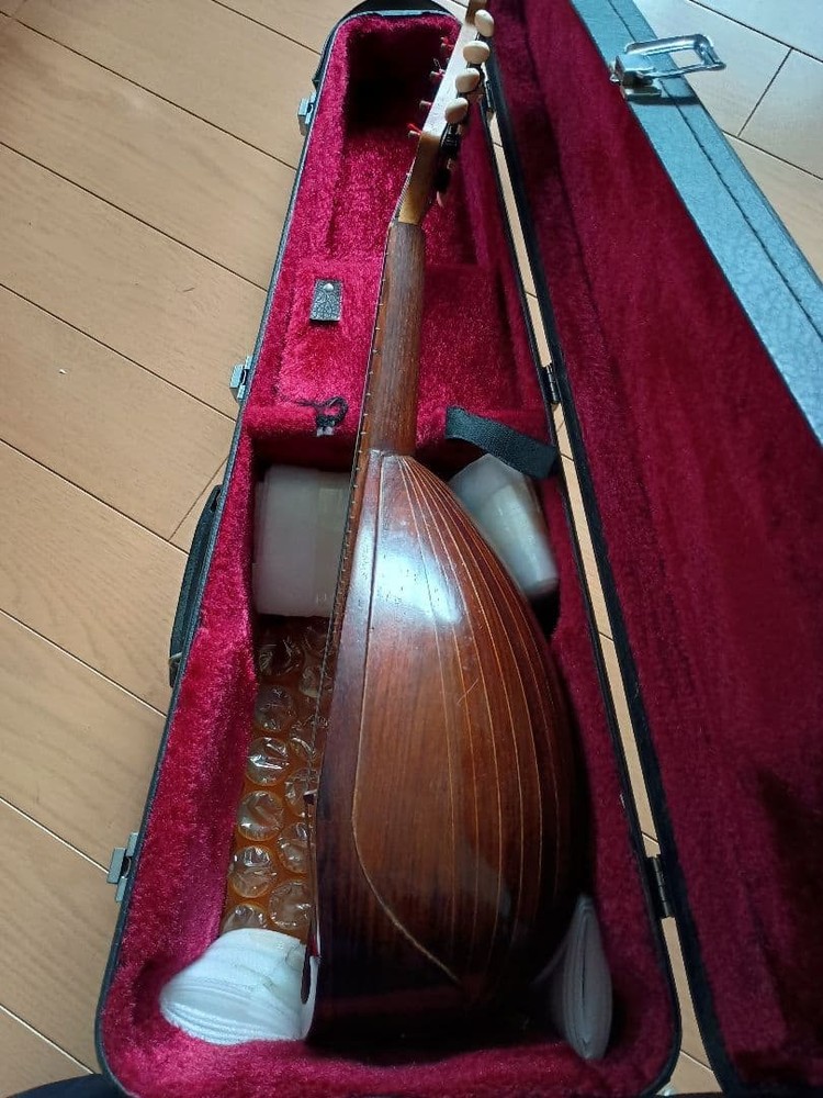 Wooden mandolin 8 strings with hard case