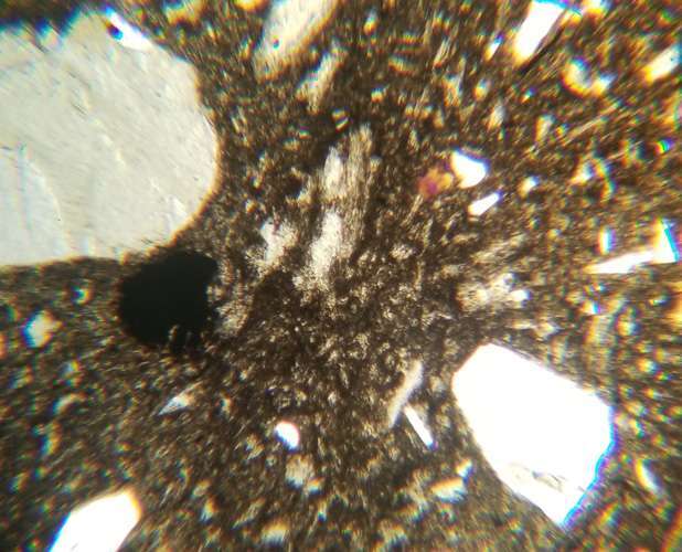 Rhyolite from Bishop California Petrographic Microscope Slide (RHY-3)