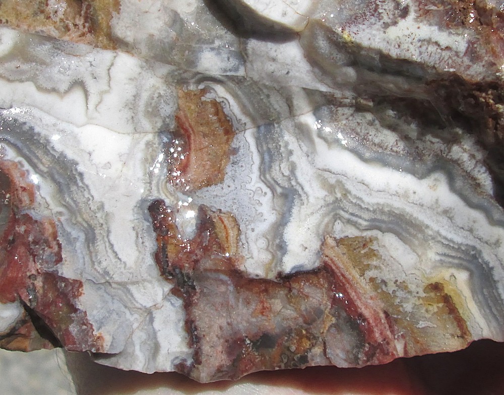 CRAZY LACE AGATE ROUGH ~ 3 lbs 12 ozs