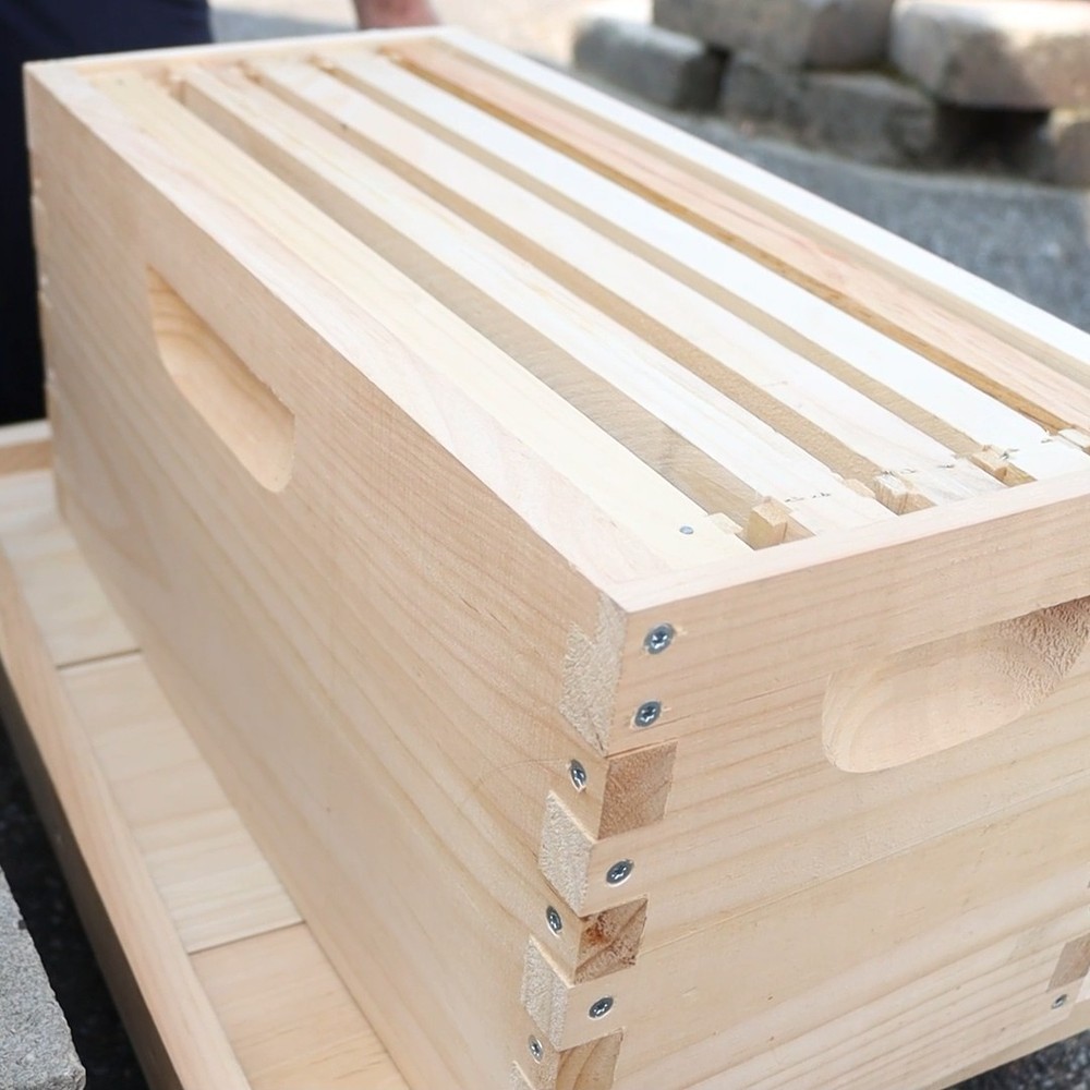 5 Frame Deep Nuc Assembled Beekeeping Box, Plastic Foundation Frames, Amish Made