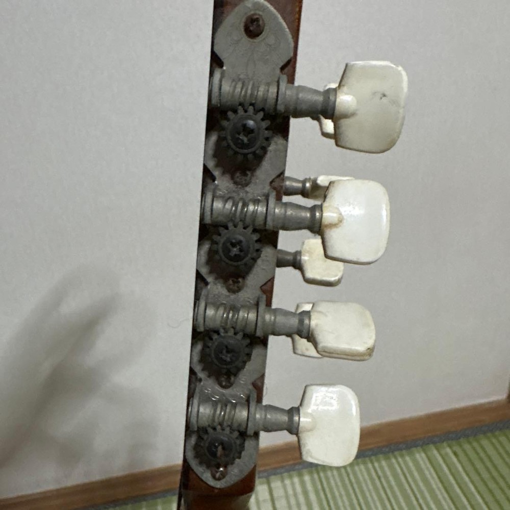 Raffaele Terada Musical Instruments High End Mandolin RM-3 String Guitar