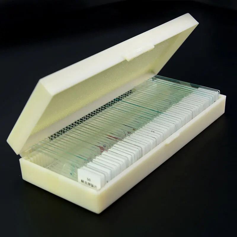 Prepared Glass Slides Biological Microscope Slides Specimen Slides for Science