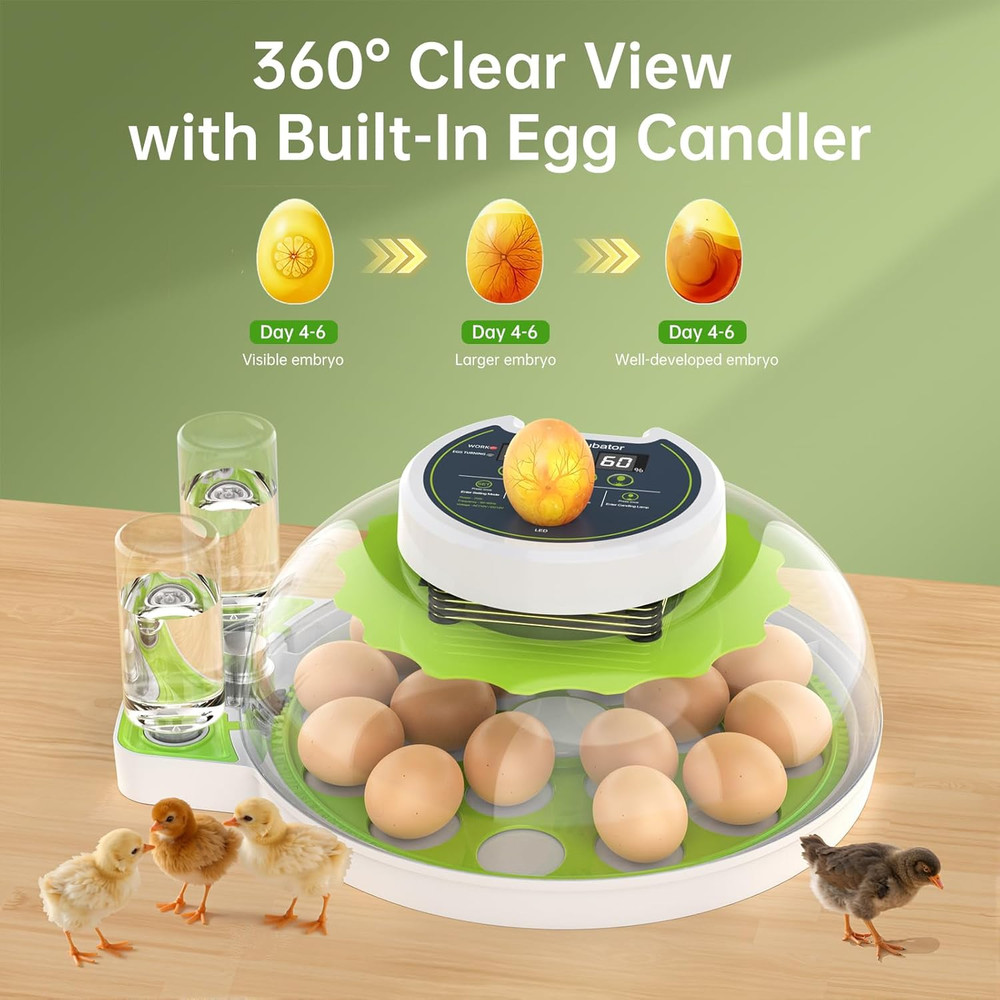 Egg Incubator with Automatic Egg Turning and Humidity Control, 18 Eggs Incubator
