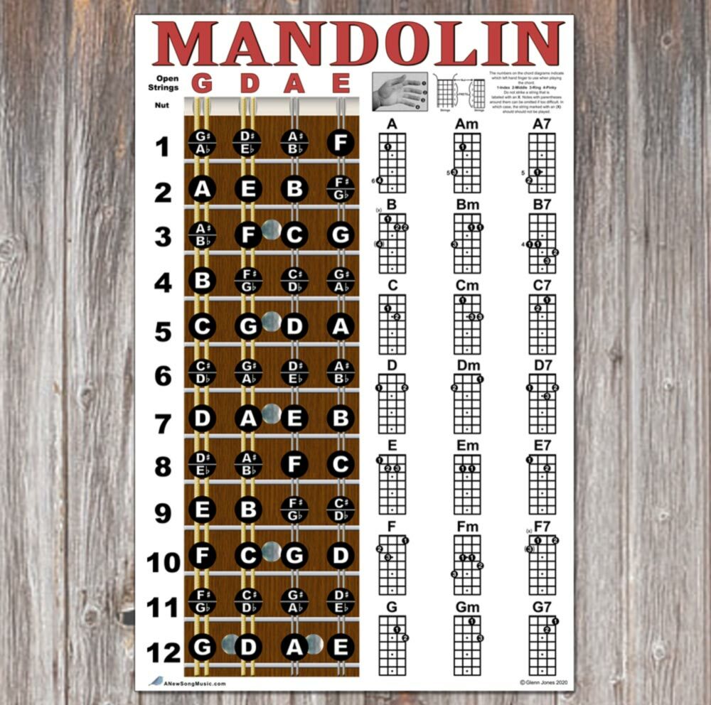 Mandolin Easy Chord & Fretboard Instructional Chart Poster Notes Beginner Chords