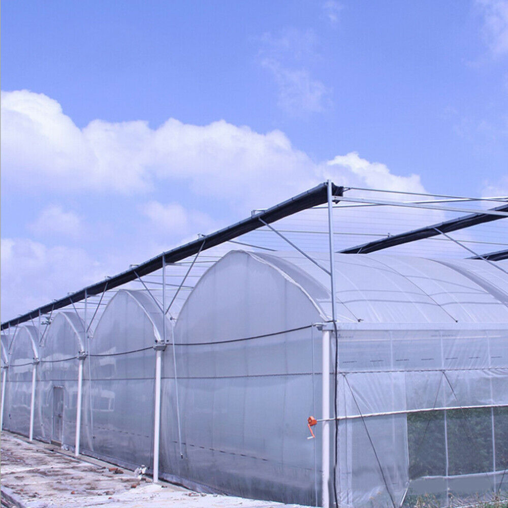 Greenhouse Plastic Cover Clear 6mil 5yr Poly Film 13-30 Widths x Various Lengths