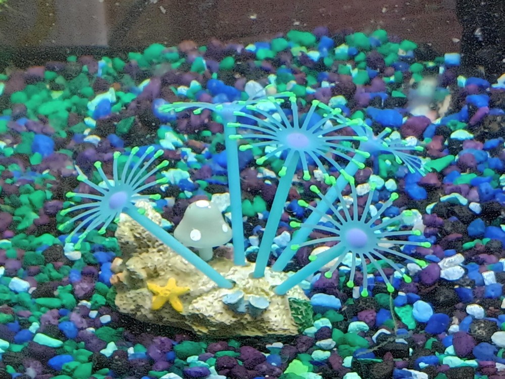 Silicone fish tank decoration