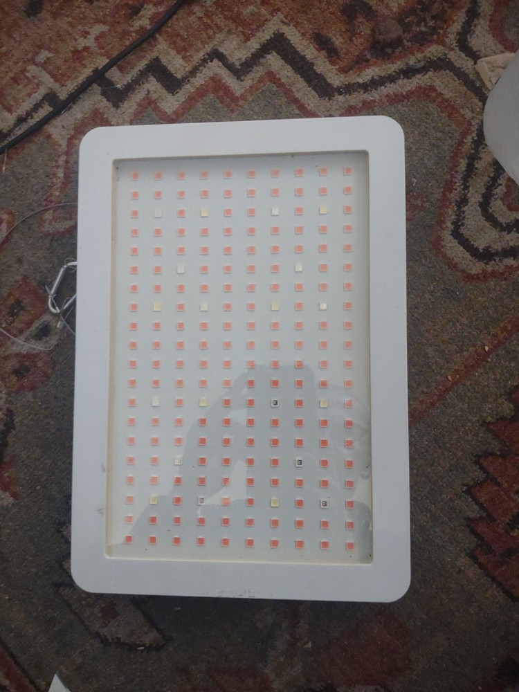 600w Grow Light