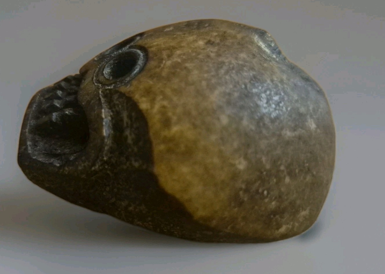 Rare Large Tibetan Kapala Citipati Bead - Relic