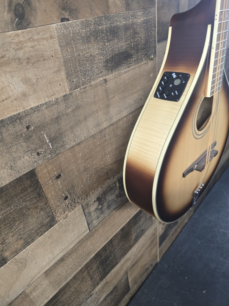 Mcneela ElectroMandolin Clean