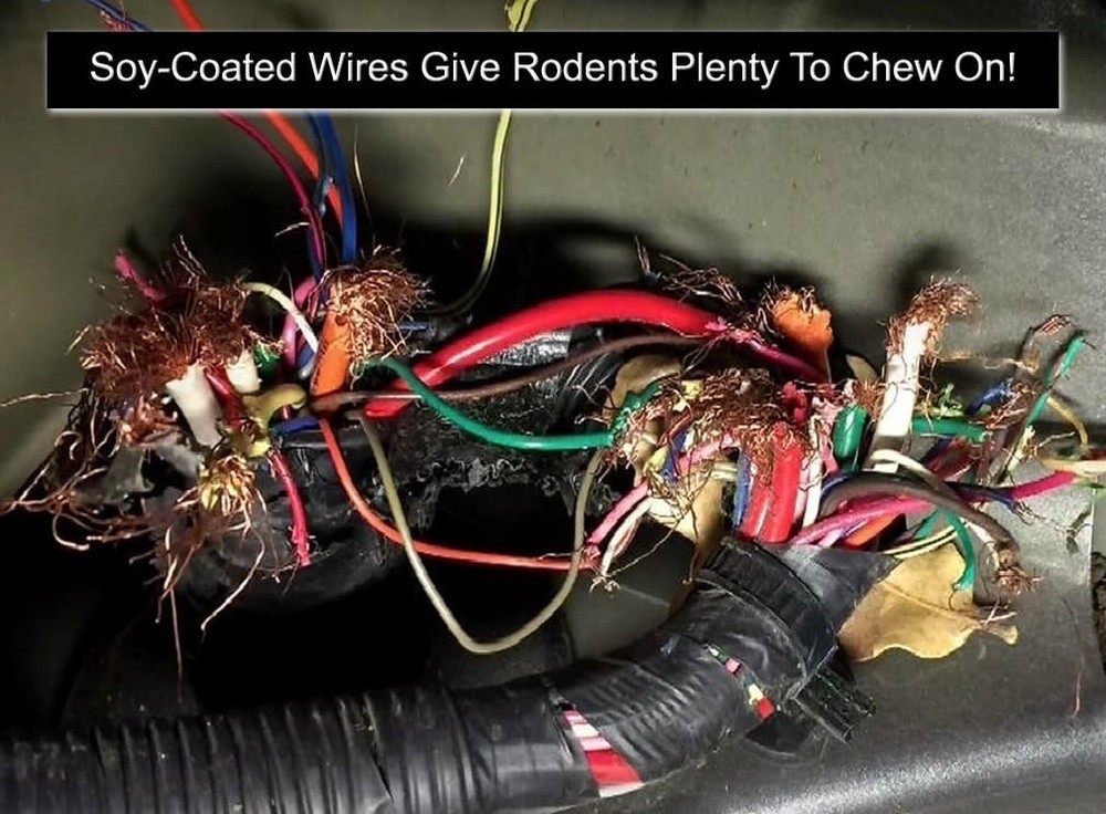 Engine & Vehicle Rodent Deterrent 128 Oz