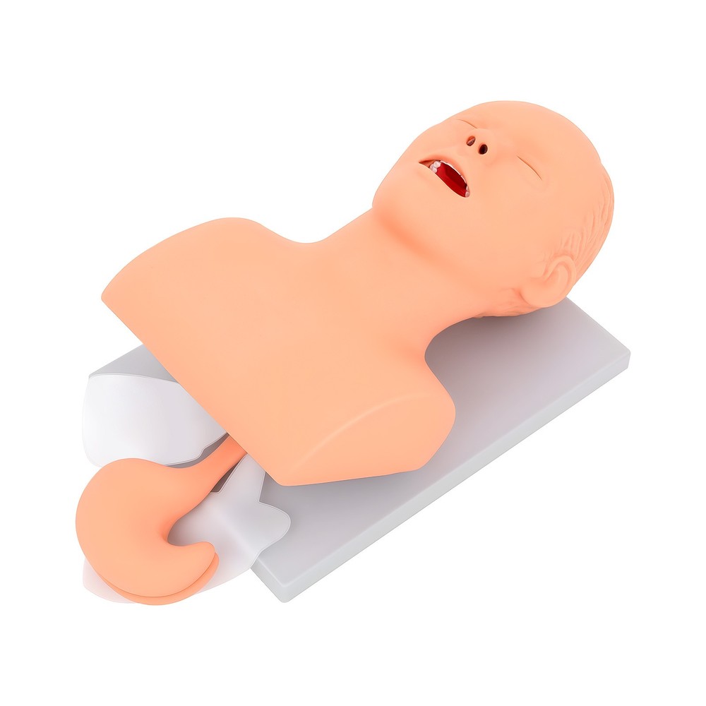 Intubation Manikin Study Teaching Simulator Airway Management Trainer Model