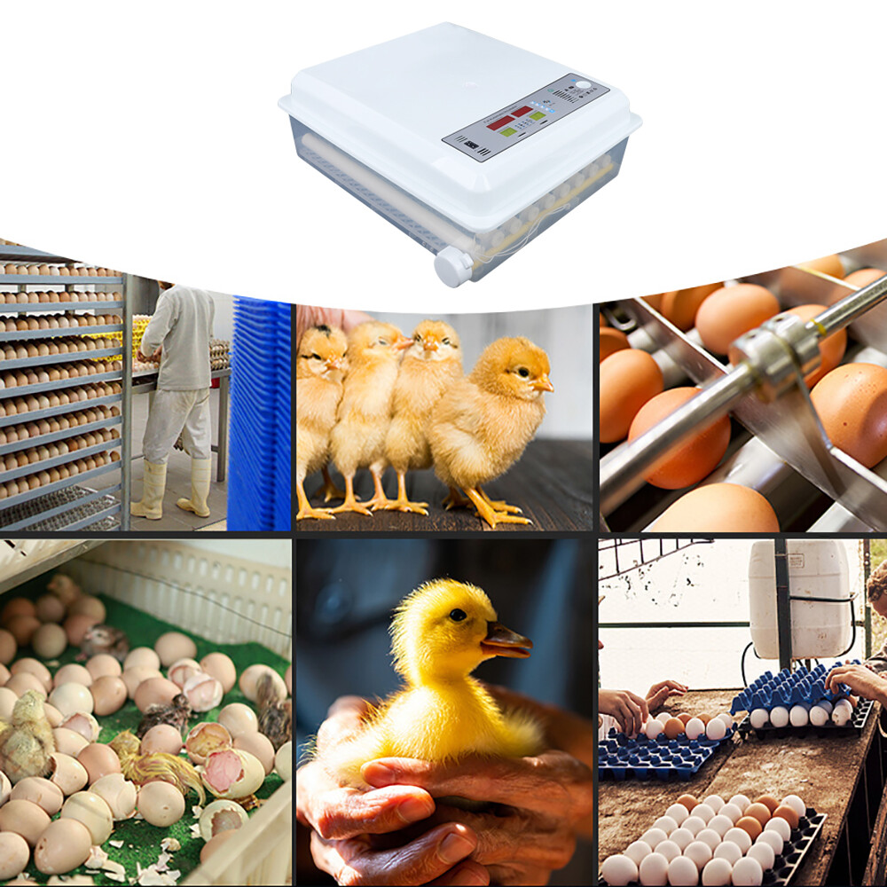 64 Eggs Digital Automatic Hatcher White Egg Incubator for Hatching Chicken Farm