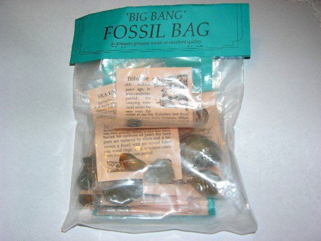 Fossil learning set w/10 different fossils info & geological time card plus