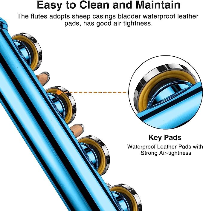 PogoLab CONCERT FLUTE | BLUE SCHOOL BAND WITH STAND HARD CASE & ACCESSORIES