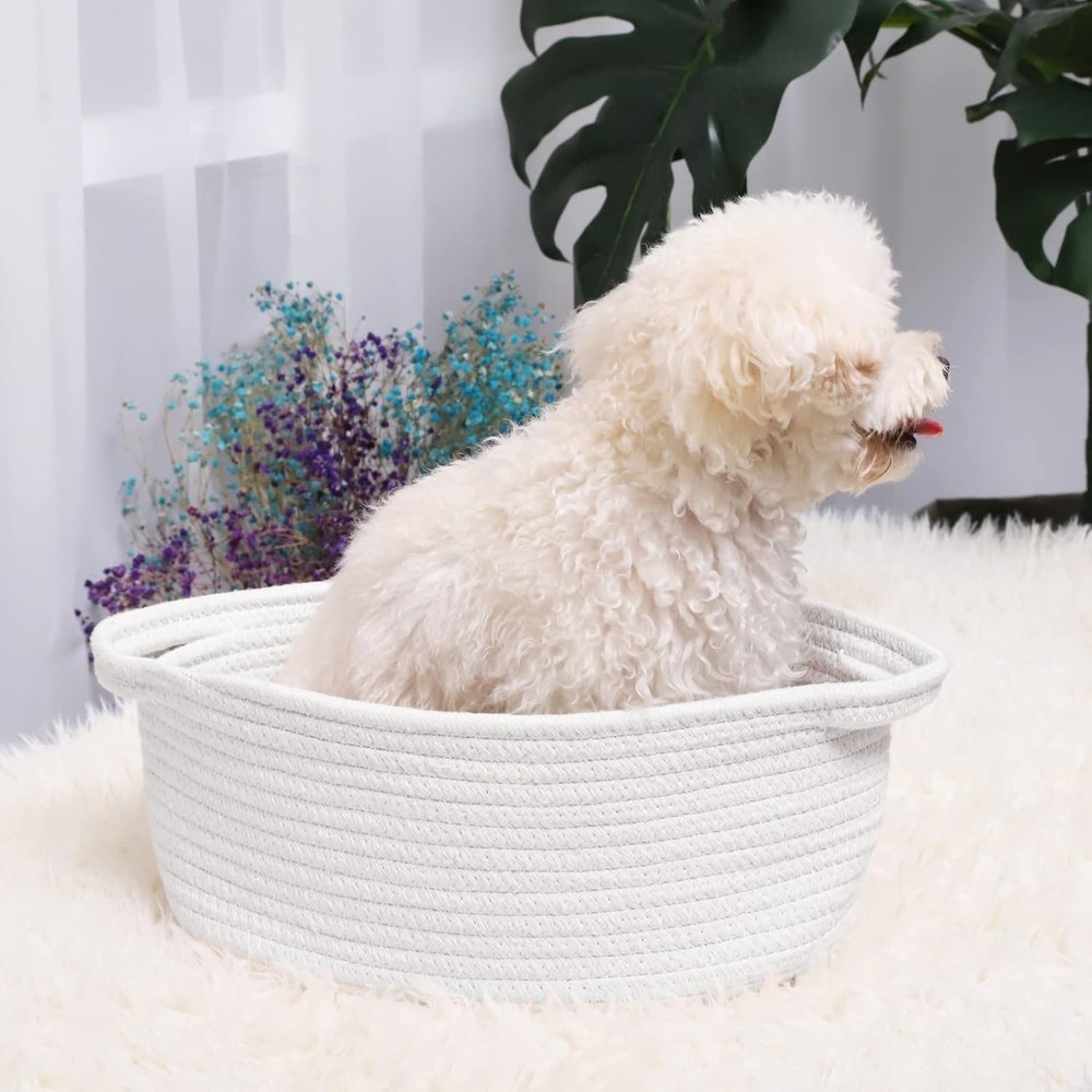 Small Baskets with Handles - Decorative Durable Rope Woven Shelf Storage