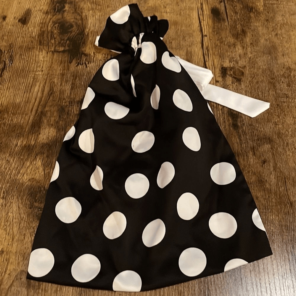 Victoria secrets undergarment bag