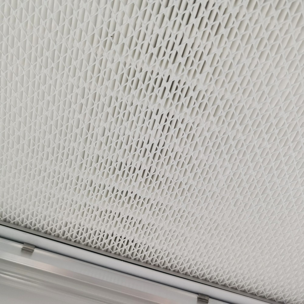 110V Mini Fume Hood for Laboratory Purification Workbench