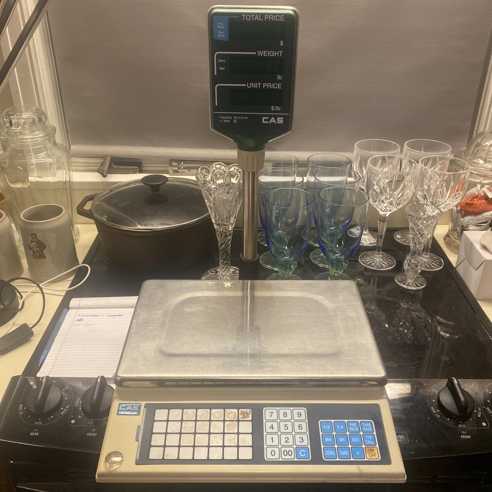 CAS 30 Lb Price Computing Scale.  Store Meats Packaging Customer Readout Bright