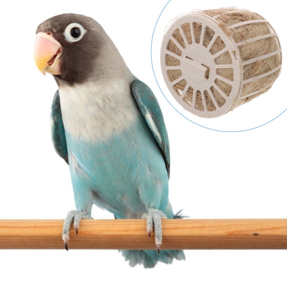 Bird Nest for Eggs Small Parakeet Nesting Box Decor Breeding Nests