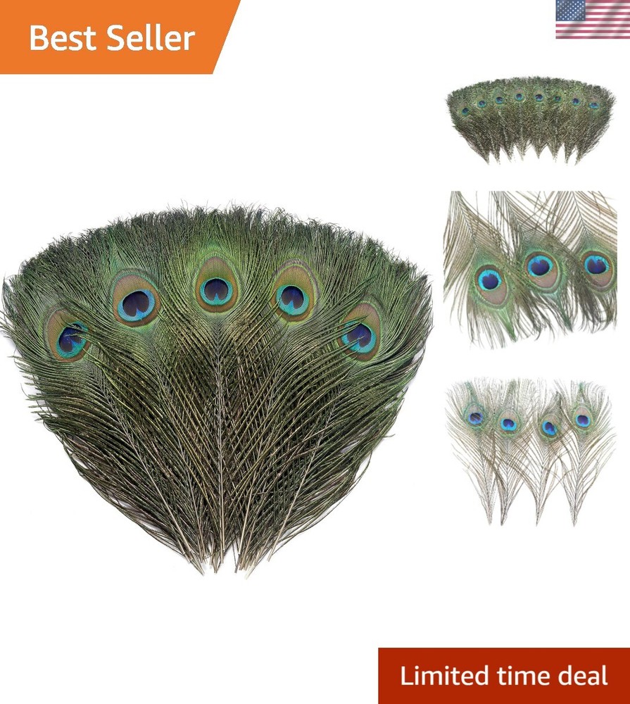 120 Real Peacock Feathers (10-12 inch) for Unique DIY Projects & Decorations